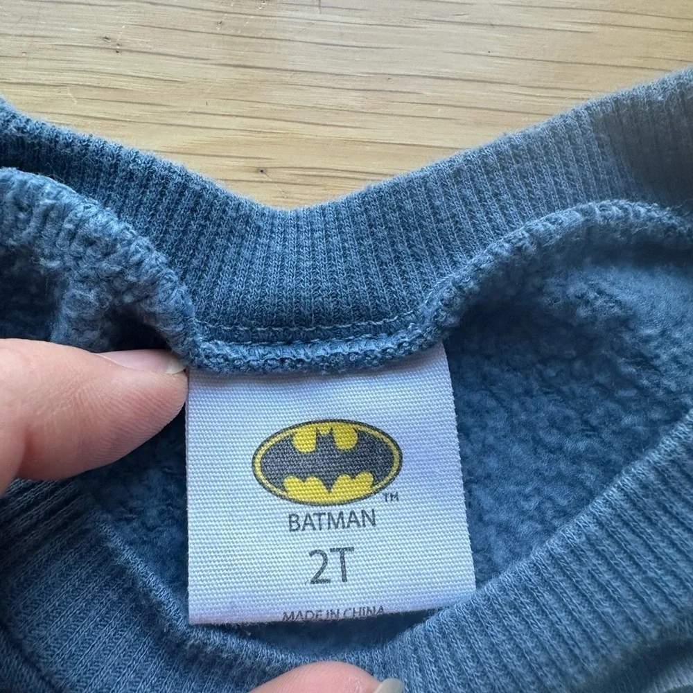 Kids' Gray Dinosaur & Blue Superhero Sweatshirts size 2T